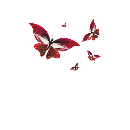 Beautiful red butterflies, isolated on a whiteのイラスト素材
