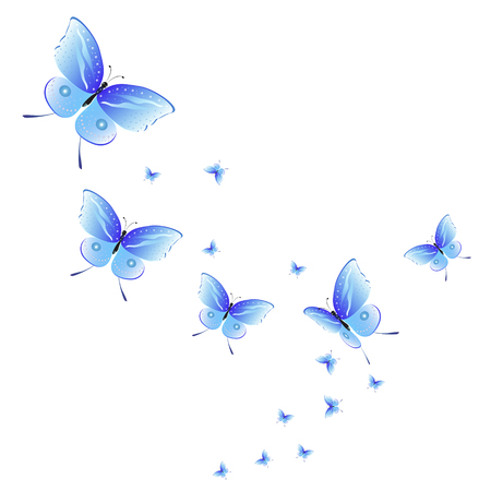 beautiful butterflies, blue,isolated on a whiteのイラスト素材