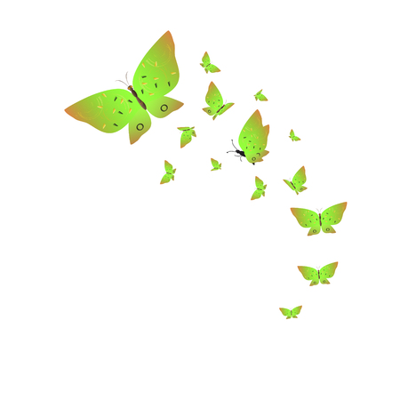 beautiful green butterflies, isolated on a whiteのイラスト素材