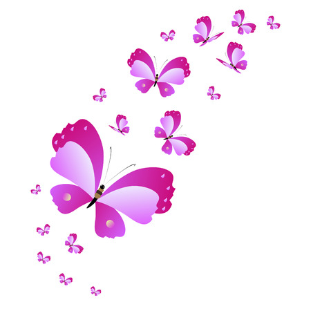beautiful pink butterflies,isolated on a white のイラスト素材
