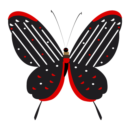 silhouette,beautiful butterflies, isolated on a whiteのイラスト素材