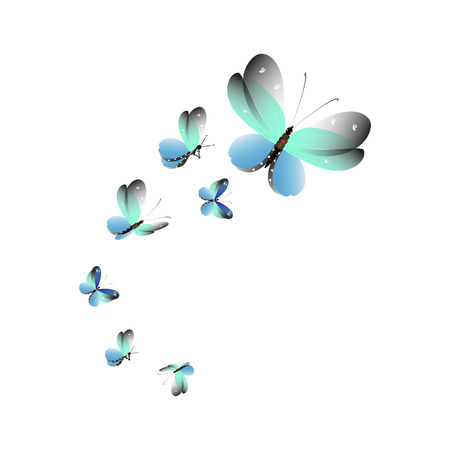 Beautiful butterflies, blue,isolated on a whiteのイラスト素材