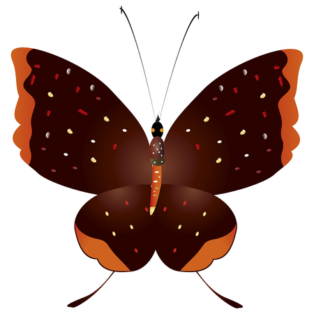 beautiful yellow butterflies, isolated on a whiteのイラスト素材