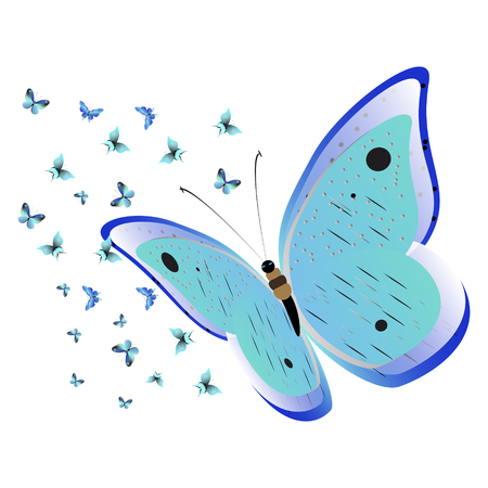 Beautiful butterflies, blue,isolated on a white background.のイラスト素材