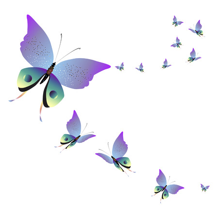 beautiful pink butterflies, isolated on white. Vector illustration.のイラスト素材