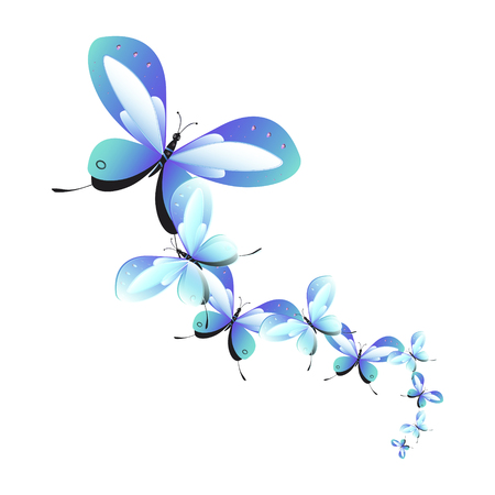 Beautiful butterflies, isolated on a white background.のイラスト素材