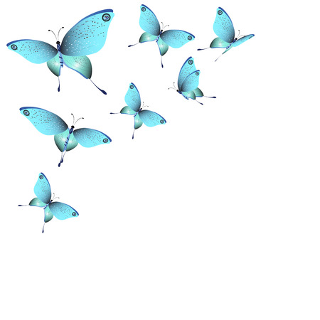 beautiful butterflies, blue,isolated on a whiteのイラスト素材