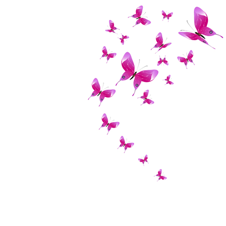 beautiful pink butterflies,isolated on a white のイラスト素材