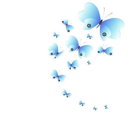 beautiful butterflies, blue,isolated on a whiteのイラスト素材