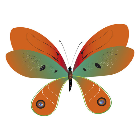 beautiful red butterflies, isolated on a whiteのイラスト素材