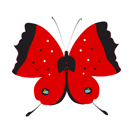 beautiful red butterflies, isolated on a whiteのイラスト素材