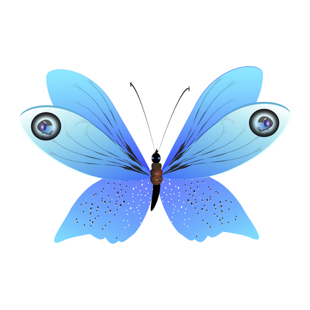 beautiful butterflies, blue,isolated on a whiteのイラスト素材