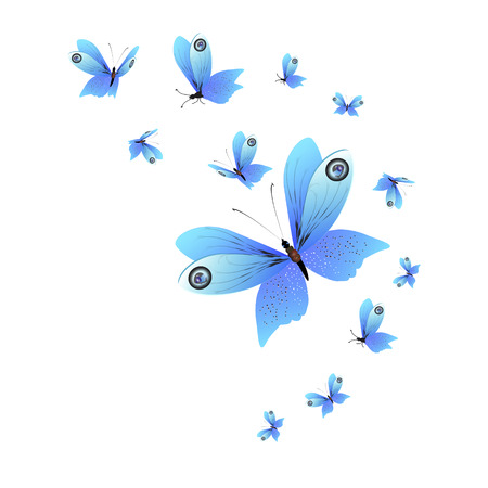 beautiful butterflies, blue,isolated on a whiteのイラスト素材