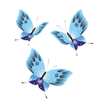 beautiful butterflies, blue,isolated on a whiteのイラスト素材