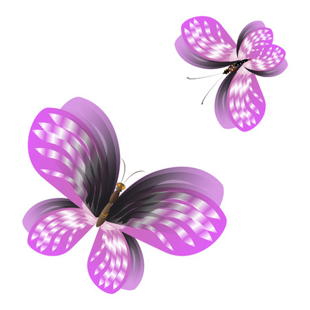 beautiful pink butterflies,isolated on a whiteのイラスト素材