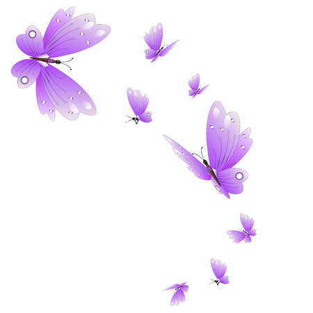 beautiful pink butterflies,isolated on a whiteのイラスト素材