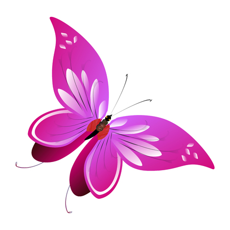 beautiful pink butterfly,isolated on a whiteのイラスト素材