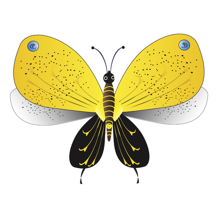beautiful yellow butterflies, isolated on a whiteのイラスト素材