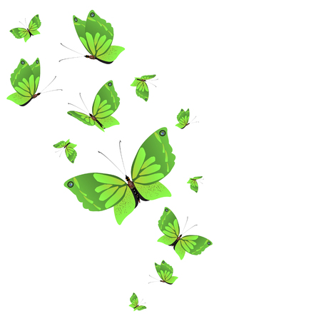 beautiful green butterflies, isolated on a whiteのイラスト素材