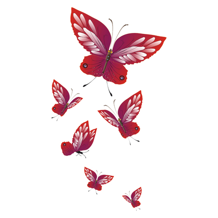 beautiful red butterflies, isolated on a whiteのイラスト素材