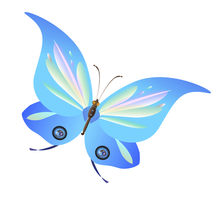 beautiful butterflies, blue,isolated on a whiteのイラスト素材