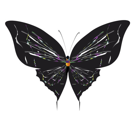 silhouette,beautiful butterflies, isolated on a whiteのイラスト素材