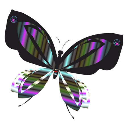 silhouette,beautiful butterflies, isolated on a whiteのイラスト素材