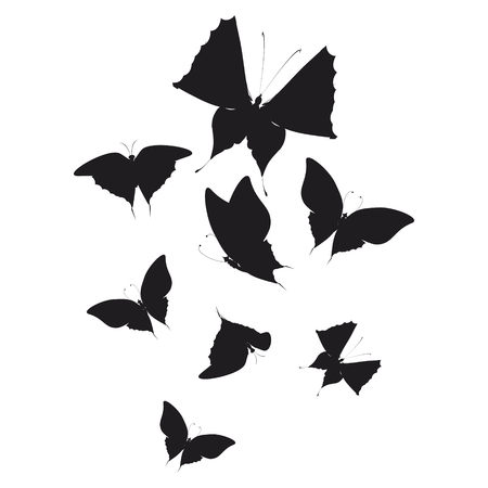 silhouette,beautiful butterflies, isolated on a whiteのイラスト素材