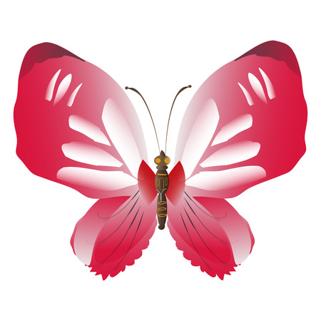 beautiful red butterflies, isolated on a whiteのイラスト素材