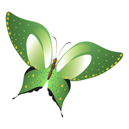 beautiful green butterflies, isolated on a whiteのイラスト素材