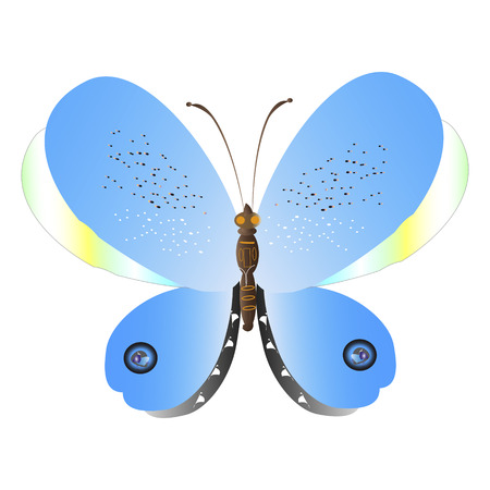 beautiful butterflies, blue,isolated on a whiteのイラスト素材
