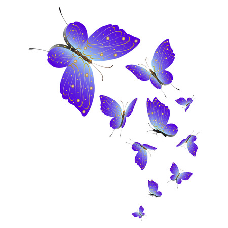 beautiful pink butterflies,isolated on a whiteのイラスト素材