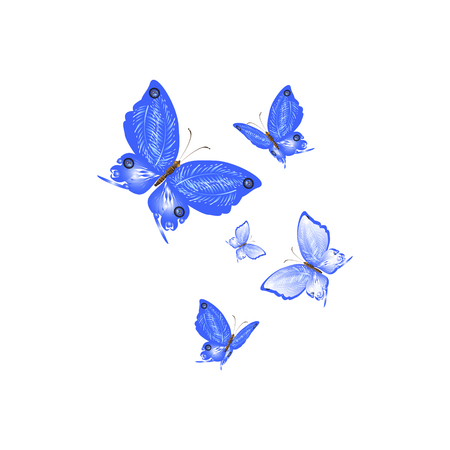 beautiful butterflies, blue,isolated on a whiteのイラスト素材