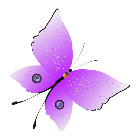 beautiful pink butterflies,isolated on a whiteのイラスト素材