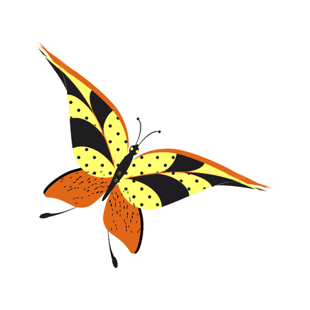 beautiful yellow butterflies, isolated on a whiteのイラスト素材