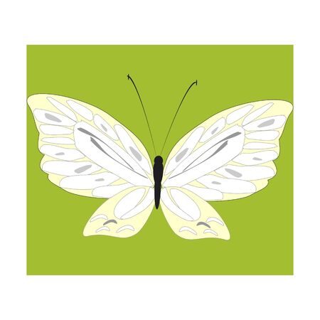 beautiful yellow butterflies, isolated on a whiteのイラスト素材