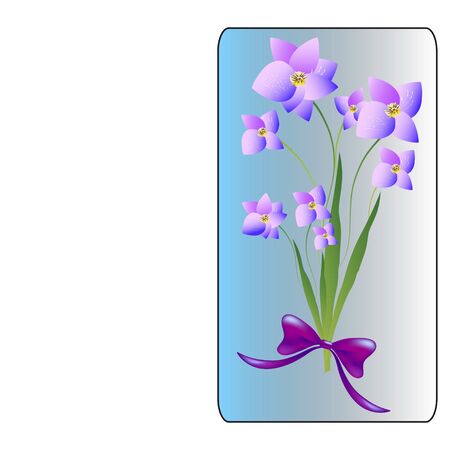beautiful color flowers, isolated on a whiteのイラスト素材