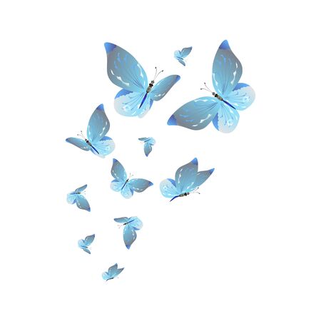 beautiful butterflies, blue,isolated on a whiteのイラスト素材