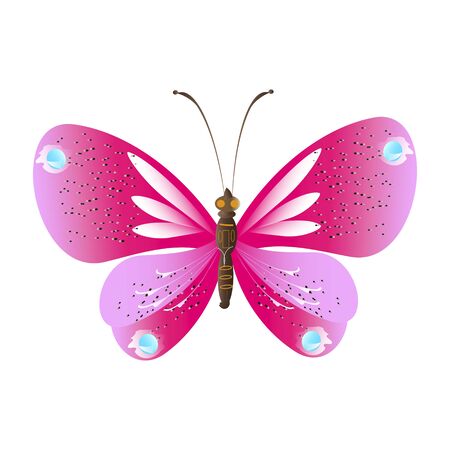 beautiful pink butterflies,isolated on a whiteのイラスト素材
