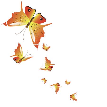 beautiful yellow butterflies, isolated on a whiteのイラスト素材