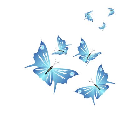beautiful butterflies, blue,isolated on a whiteのイラスト素材