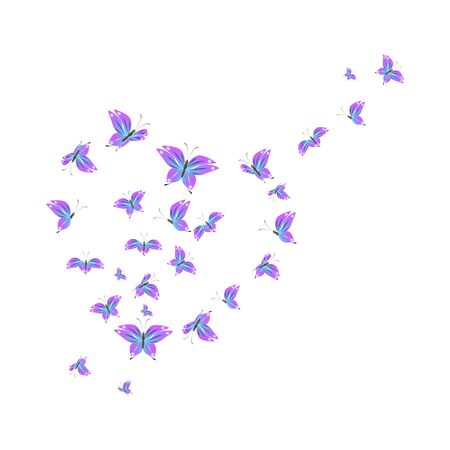 beautiful pink butterflies,isolated on a white のイラスト素材