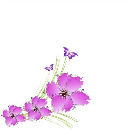 beautiful color flowers, isolated on a whiteのイラスト素材