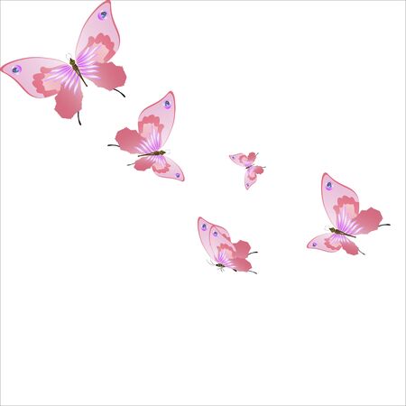 beautiful pink butterflies,isolated on a whiteのイラスト素材