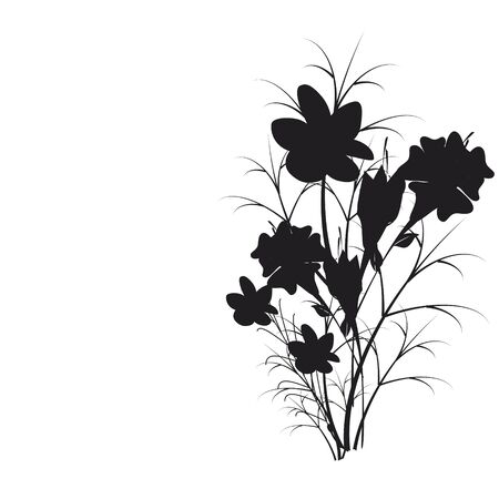 beautiful black flowers, isolated on a whiteのイラスト素材
