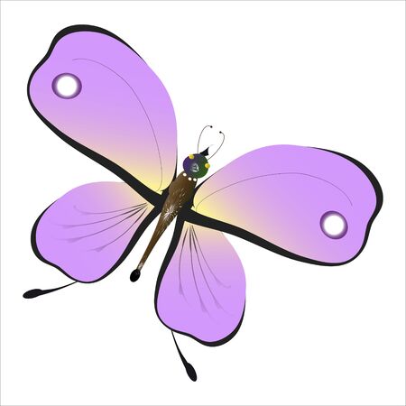 beautiful pink butterflies,isolated on a white のイラスト素材