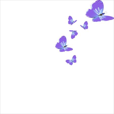 beautiful pink butterflies,isolated on a white のイラスト素材