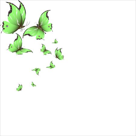 beautiful green butterflies, isolated on a whiteのイラスト素材