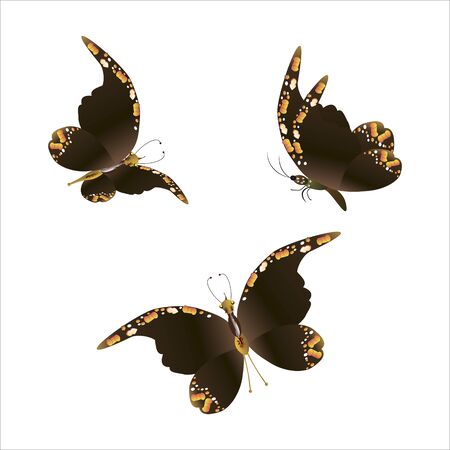 beautiful yellow butterflies, isolated on a whiteのイラスト素材