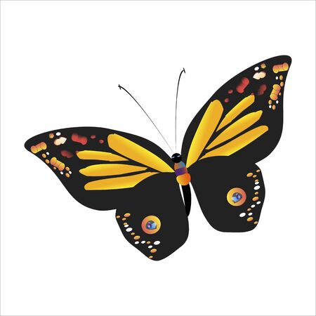 silhouette,beautiful butterflies, isolated on a whiteのイラスト素材